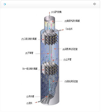 2025新澳门官方网站