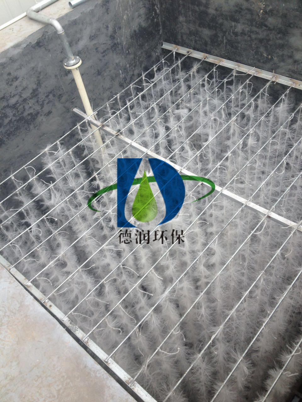 2025新澳门官方网站