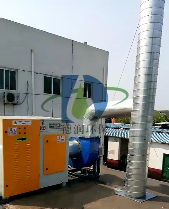 2025新澳门官方网站