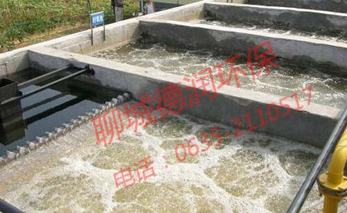 2025新澳门官方网站