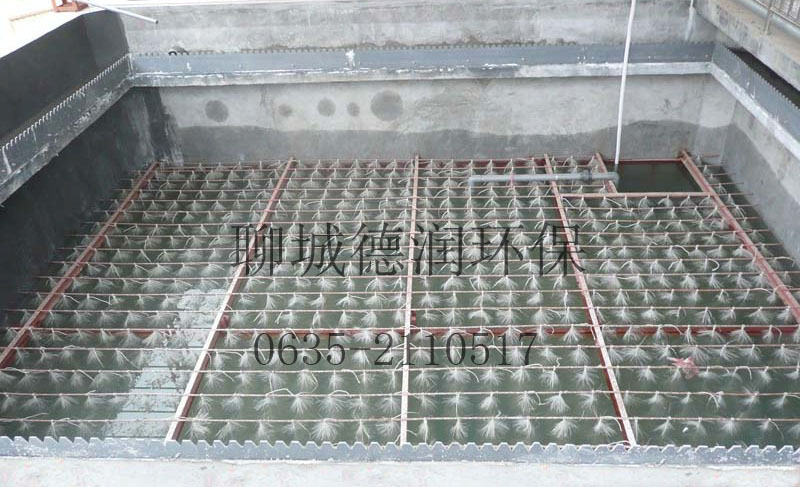 冠县前进集团污水处理工程竣工，调试运行效果显著