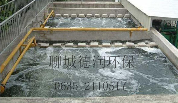 2025新澳门官方网站